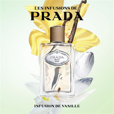 prada infusion vanilla